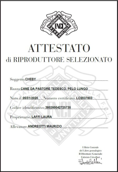 ENCI di Riproduttore Selezionato